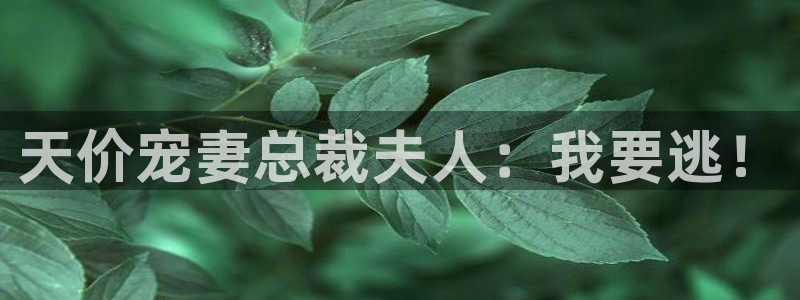 韩漫未成年漫画：天价宠妻总裁夫人：我要逃！