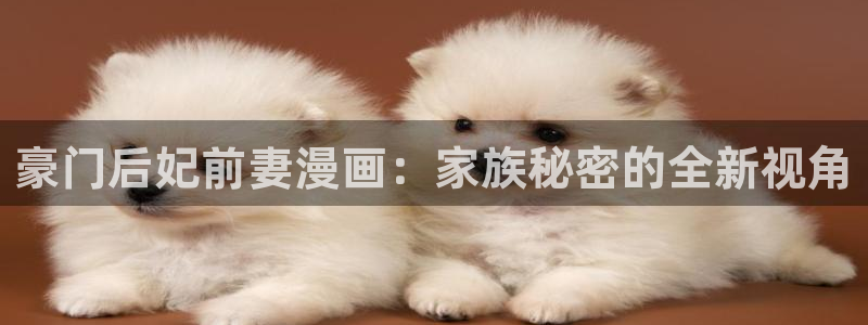 韩漫夫妻游戏漫画：豪门后妃前妻漫画：家族秘密的全新视角